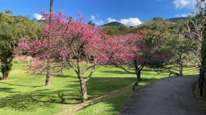 Aqui a paz é verde